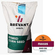 P8025 ФАО 230 (Maxim XL) Насіння кукурудзи Brevant
