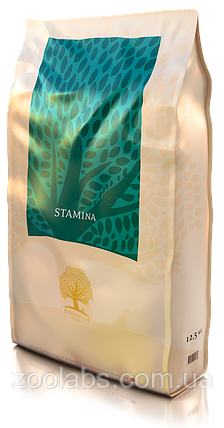 Корм Essential Foods для активних собак | Essential Foods Dog Stamina 10 кг, фото 1