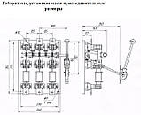 Рубільник РПС 250 Рубільники РПС 250А без покриття, фото 2