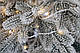 Ялинка лита засніжена Ковалівська з Гірляндою 1,5 м, фото 10