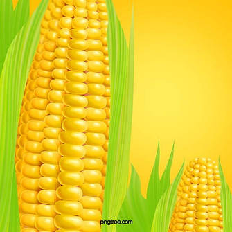 Українська Кукурудза