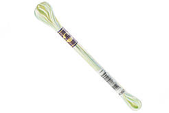 Мулине DMC Color Variations 4060