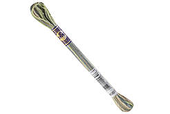 Мулине DMC Color Variations 4065