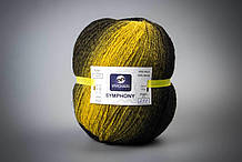 Пряжа вовняна Vivchari Premium Symphony, Color No.05 чорно-жовтий меланж