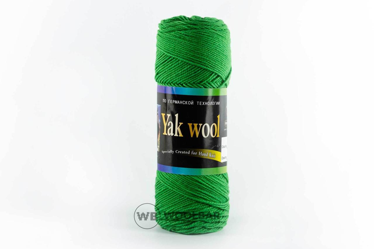 Пряжа Color City Yak wool 416 зелене яблуко