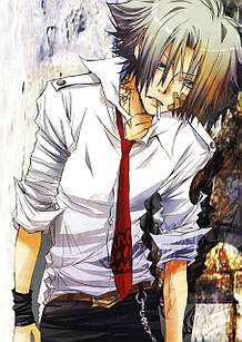 Плакат А3  Аніме Katekyo Hitman Reborn 004