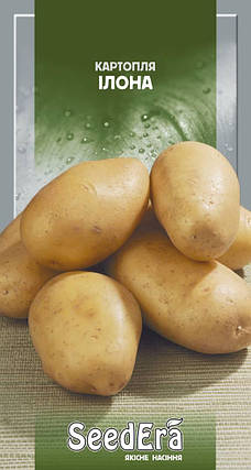 Насіння картоплі Ілона 0,02 г ТМ SeedEra, фото 2