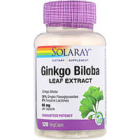Solaray, Ginkgo Biloba Leaf Extract, 60 mg, 120 VegCaps
