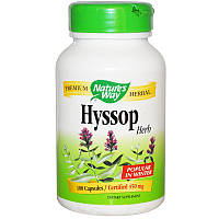 Иссоп, Hyssop Herb, Nature's Way,450 мг, 100 кап.