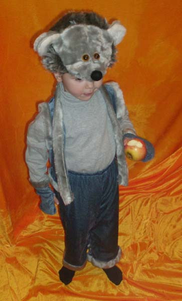 Карнавальный костюм Ежик для детей, костюм Еж, ёж, ёжик, ежика - фото 5 - id-p887017