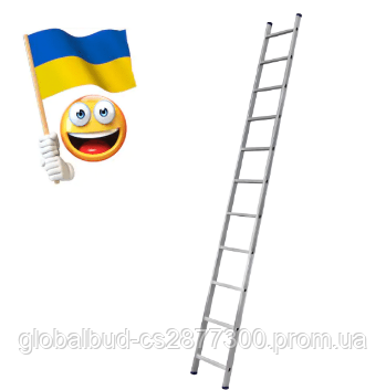 Алюмінієва односекційна приставна драбина на 11 сходинок, фото 2