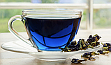 Кліторія трійчаста (Butterfly Pea) 50 г — синій чай Анчан, фото 3