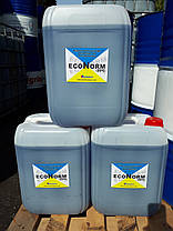 Антифриз для систем опалення Econorm -20C, кан 10л (десять)., фото 2