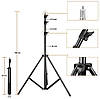 Набір постійного світла софтбокс на 4 лампи Prolighting 50x70 + Стійка + Лампи 125 Вт., фото 9