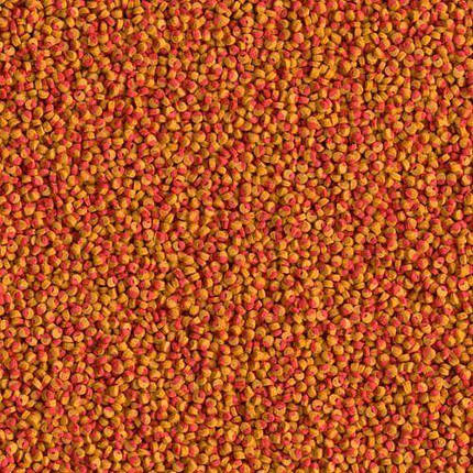 Корм для акваріумних риб Tetra Cichlid Colour Mini 10000 ml., фото 2