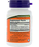 Пробіотики Probiotic-10 Now Foods 25 млрд 50 капсул, фото 3