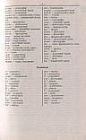 Італійсько-український, українсько-італійський словник. Таланов Олег, фото 3