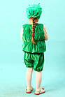 Карнавальний костюм Гусениця (велюровий), костюм Гусениці 104, фото 3