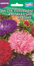 Айстра Американська красуня 100 шт.