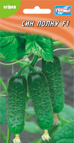 Насіння огірків партенокарпічних Син полку F1 10 шт.