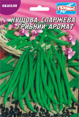 Насіння кущової квасолі спаржевої Грибний аромат 20 г, фото 1