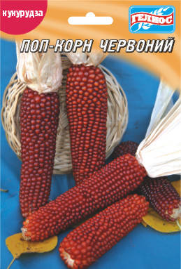 Насіння кукурудзи Попкорн Рубі ред червона 15 г, фото 1