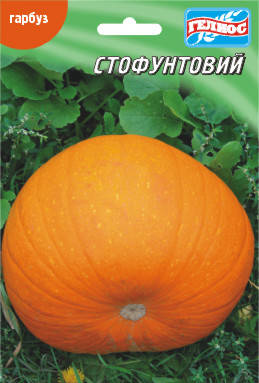 Насіння гарбуза Стофунтова 10 г, фото 1