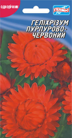 Геліхрізум Пурпурово-червоний 0,15 г, фото 1