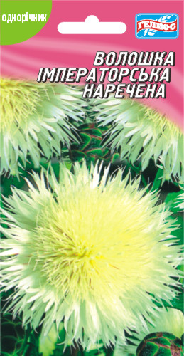 Волошка Імператорська Наречена  15 шт.