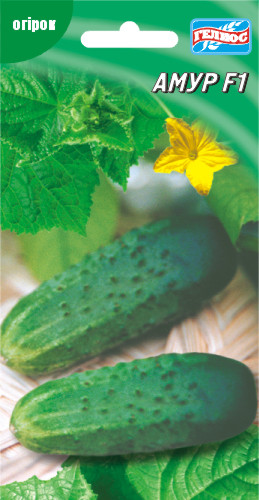 Насіння огірків партенокарпічних Амур F1 10 шт.