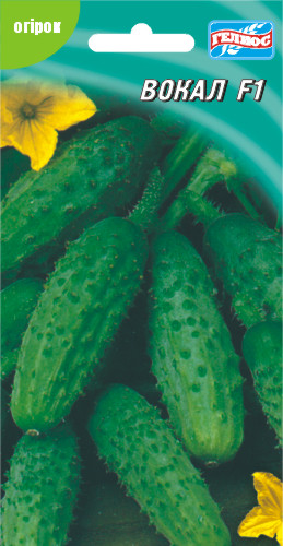 Насіння огірків партенокарпічних Вокал F1 10 шт.