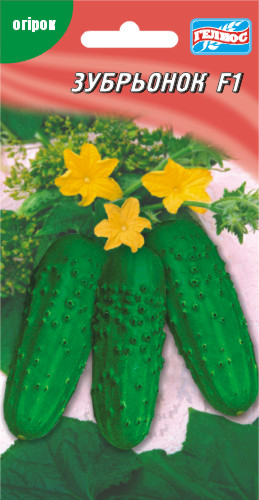 Насіння огірків бджолозапильних Зубрьонок F1 10 шт.