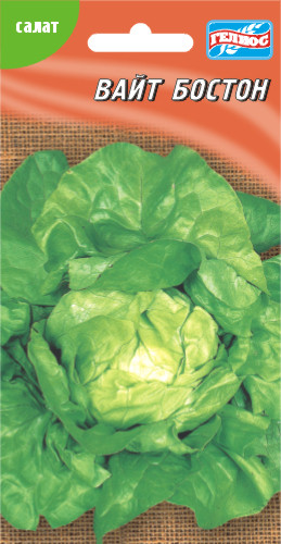 Насіння салату Вайт Бостон 1000 шт.