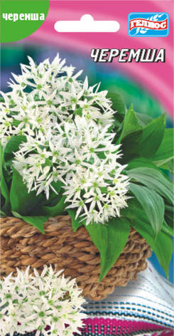 Насіння Черемші 30 шт., фото 1