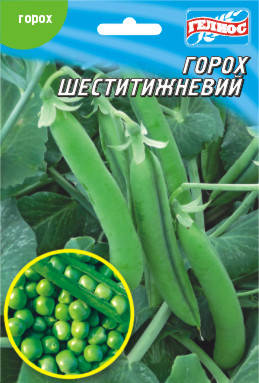 Насіння гороху цукрового Шеститижневий 20 г, фото 1