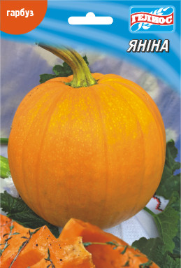 Насіння гарбуза Яніна 10 г