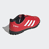 Сороконіжки дитячі Adidas Copa 20.4 TF EF1925, фото 5