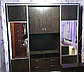 Шафа-купе "ТВ-4" 2600х450х2400 (Алекса), фото 6