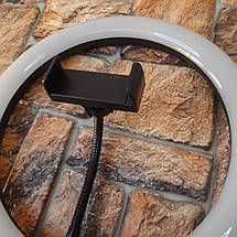 Кільцева світлодіодна LED лампа Ring Light діаметром 26 см для Селфі кільце підсвічування для блогера (Живі, фото 2