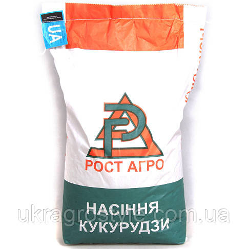 ДН Софія ФАО 430 Насіння кукурудзи