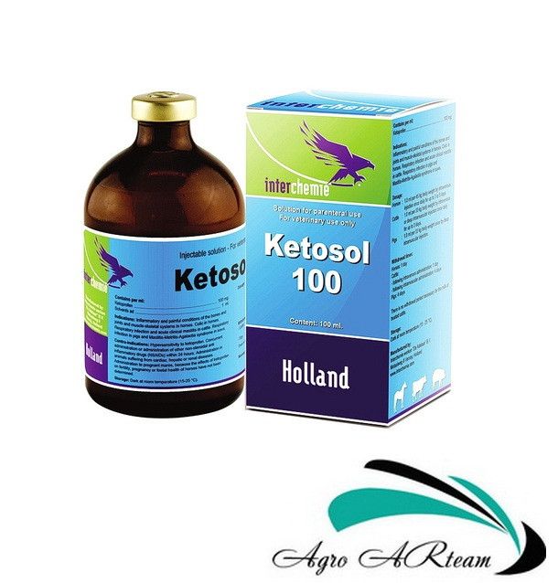 Кетозол-100, 100 мл, Интерхімі (Нідерланди)