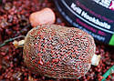 Стік Мікс CC Moore Krill Bag Mix 1kg, фото 6
