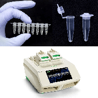 Матеріали для ПЛР