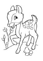 Дитяча розмальовка "Подивися іі розфарбуй: Звіірятка" 628008, фото 3