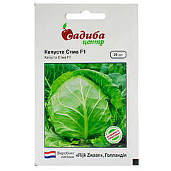 Капуста білокачанна Этма F1 20 шт Rijk Zwaan