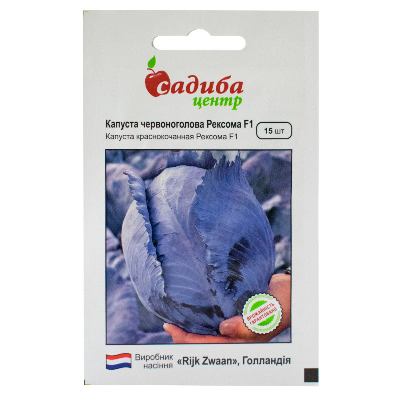 Капуста червоноголова Рексома F1 15 шт Rijk Zwaan, фото 1