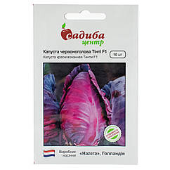 Капуста червоноголова Тинти F1 10 шт Hazera