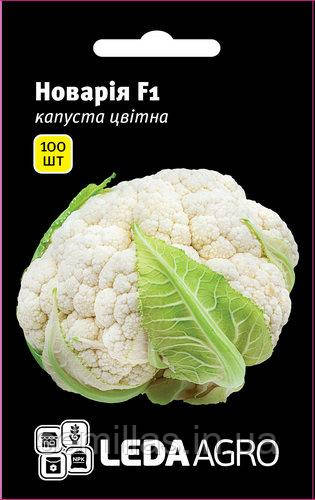 Насіння цвітної капусти Новарія (Novaria) F1, 100 шт., ТМ "ЛедаАгро"