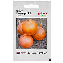 Цибуля Пандеро F1 1 г Nunhems