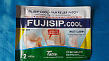 Пластир Знеболювальний Fujisip-гель 2 штуки 14 см * 10 см В'єтнам, фото 3